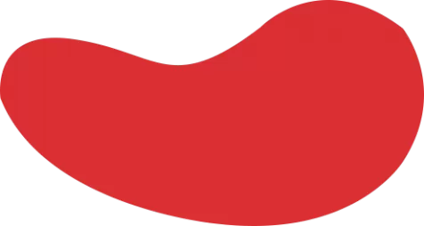 雷竞技 (RayGame)官方网站_DOTA2,LOL,CSGO_亚洲电竞先驱