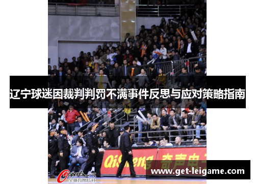 辽宁球迷因裁判判罚不满事件反思与应对策略指南