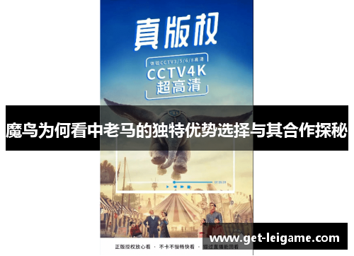 魔鸟为何看中老马的独特优势选择与其合作探秘 魔鸟为何看中老马的独特优势选择与其合作探秘